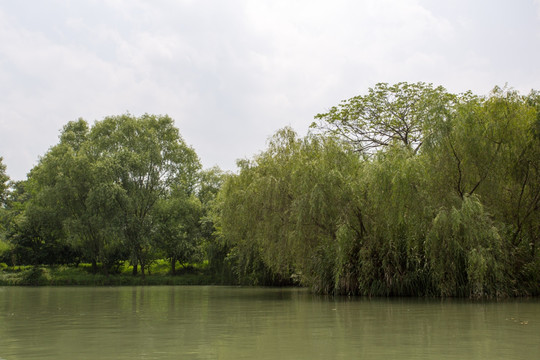 杭州西溪湿地公园