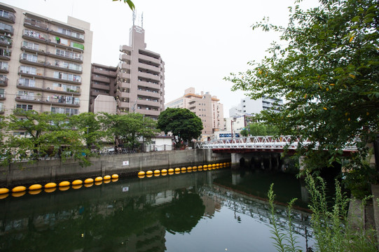 横滨的小河