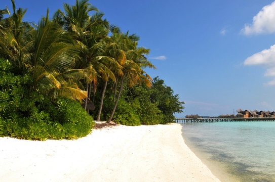 马尔代夫的白色沙滩