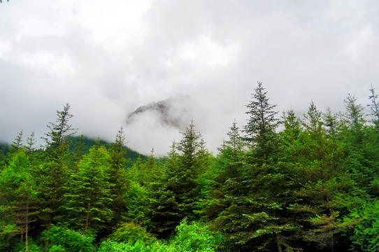 贵州风景