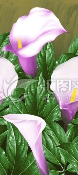 印花 花型 數(shù)碼印花 面料 家