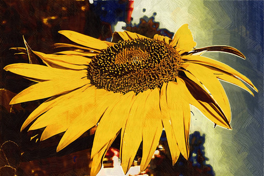 抽象画 装饰画向日葵