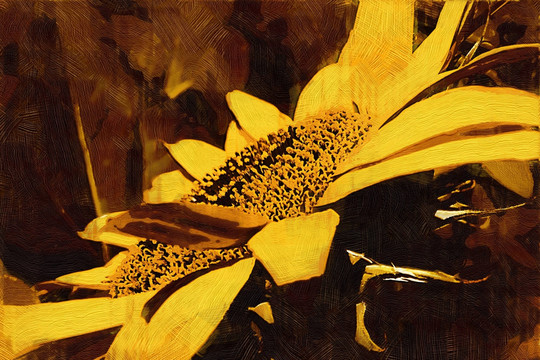 油画  装饰画向日葵