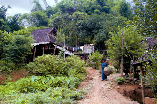 西双版纳 民居 山寨 云南