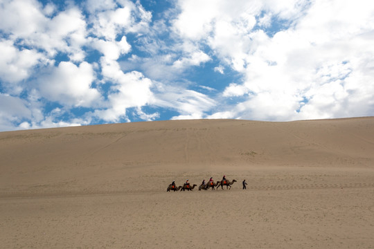 甘肃敦煌沙漠骆驼队