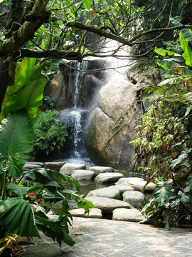 植物园 公园 池塘