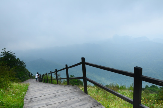 高山草甸