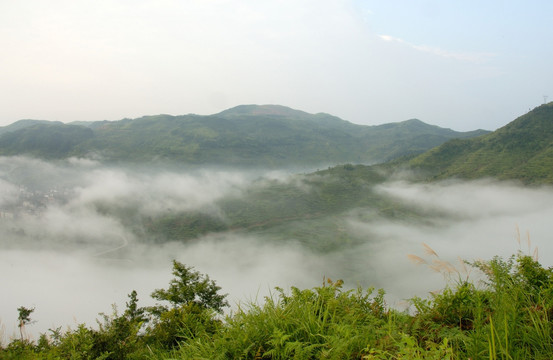 高山云雾