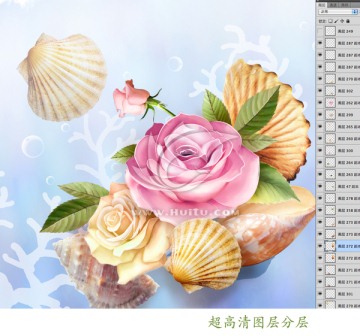 海底玫瑰