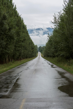 水泥路