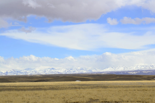西藏风光 雪山草原