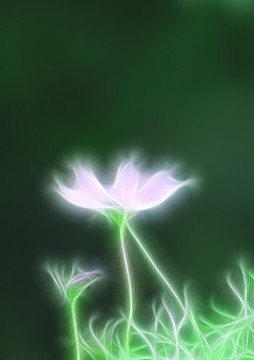 裝飾畫(huà) 格?；? loading=