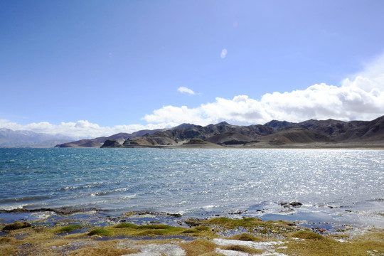 西藏班公湖风光