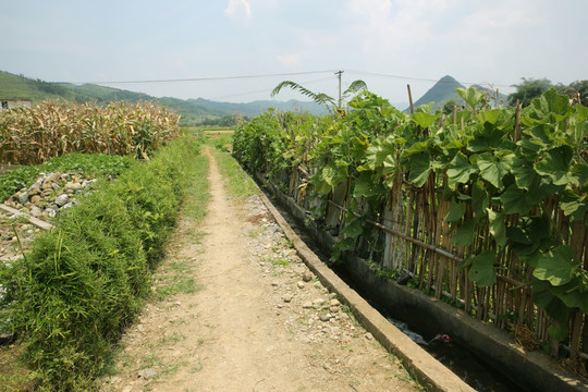 乡间小路