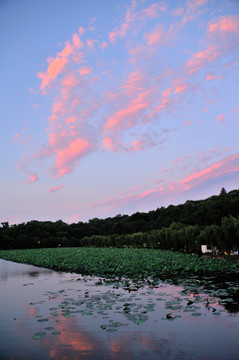 杭州 西湖 孤山 傍晚