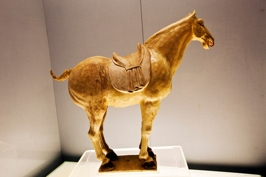 古代陶瓷 马