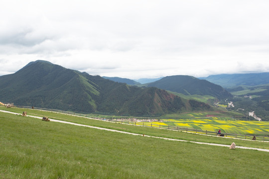 祁连山草原