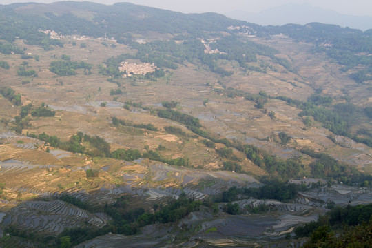 元阳梯田 坝达梯田