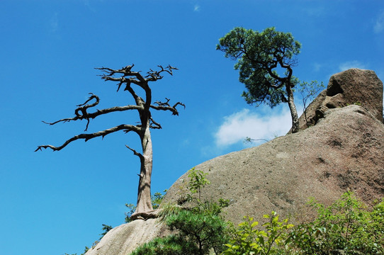 三清山风光