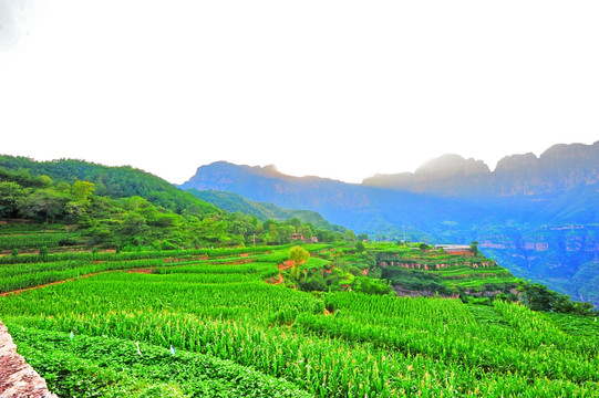 林州屋脊山