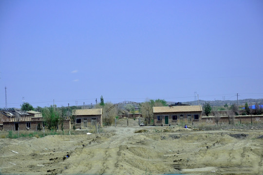 新疆风光 农场