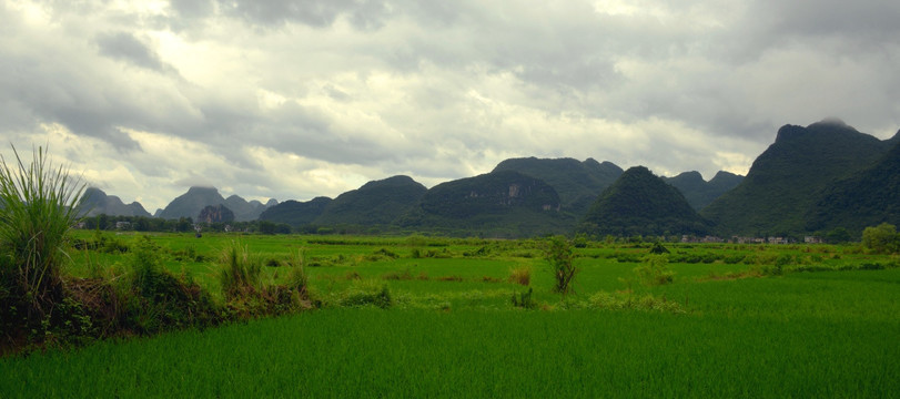 田园风光