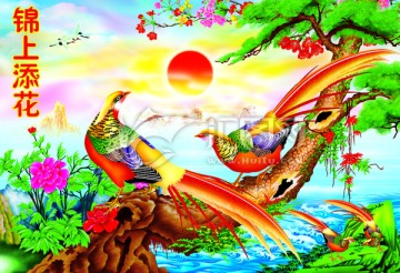 錦上添花