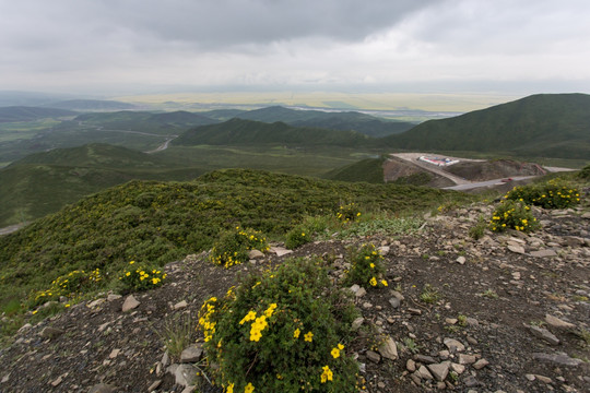 青海门源山地