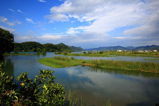 下崖湿地风光