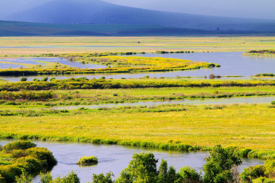 额尔古纳河流域湿地