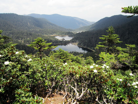 丽江老君山 冰蚀湖