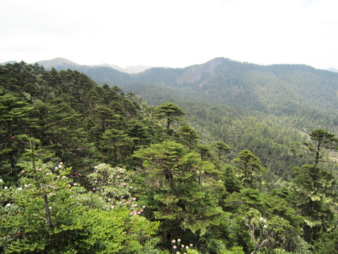 丽江老君山