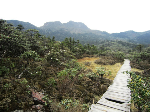 丽江老君山