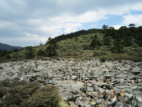 丽江老君山石河