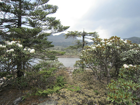 高山湖泊  丽江老君山