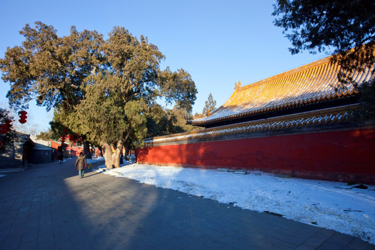 北京地坛 地坛 祭地 中式建筑
