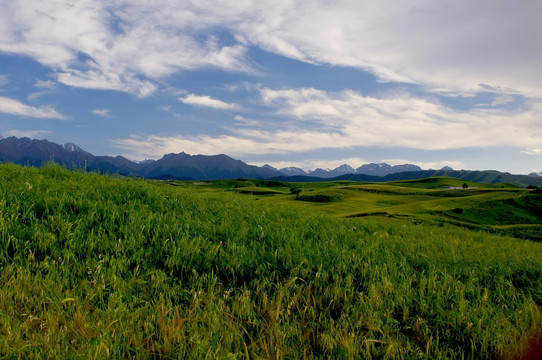 江布拉克美景