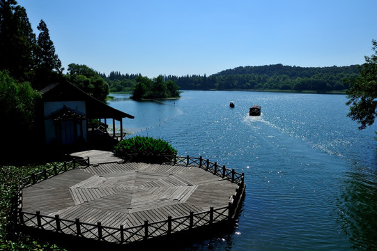 西湖 杨公堤 早晨 水景 湖泊