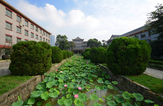 四川大学荷花池图书馆