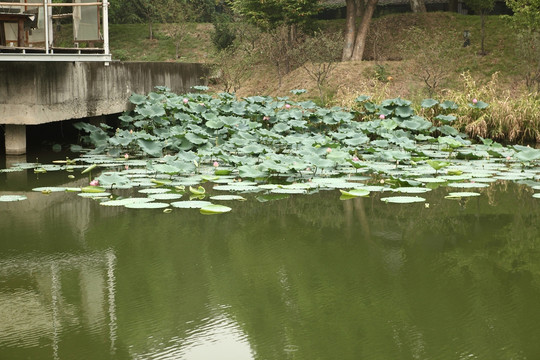 中國美院象山校區