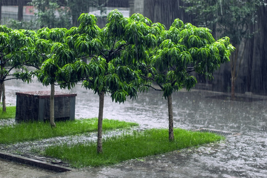 雨景