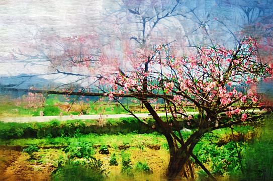 桃花裝飾畫