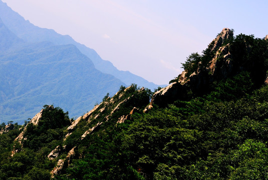 伏牛山风光