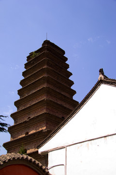 西安香积寺建筑即景