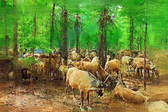 獵鄉(xiāng)馴鹿圖 電腦油畫