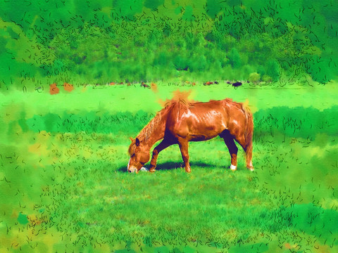 草原駿馬圖 電腦畫