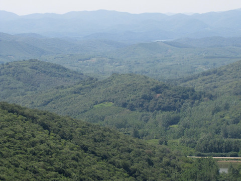 滁州施集群山