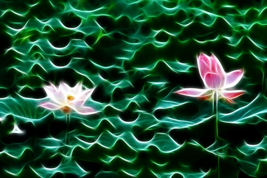 抽象荷花 無(wú)框畫(huà) 裝飾畫(huà)