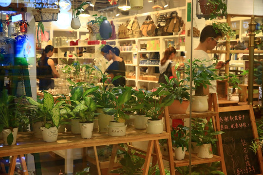 绿色植物店