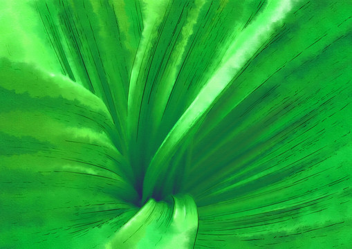 綠葉線條 電腦水彩畫